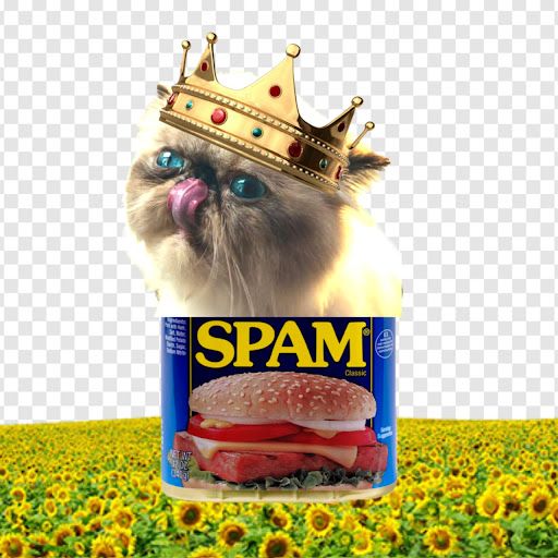 Spam King 